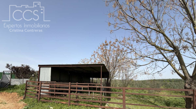 Sevilla - Pilas - 39764m2