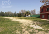 Chalet independiente con terreno en venta en la España, Pilas, ref: TR404424 foto