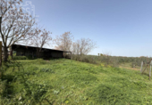Chalet independiente con terreno en venta en la España, Pilas, ref: TR404424 foto