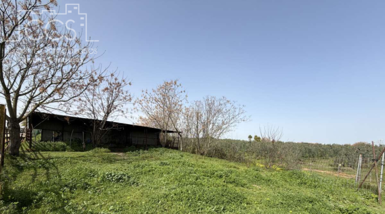 Sevilla - Pilas - 39764m2