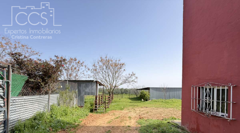 Sevilla - Pilas - 39764m2