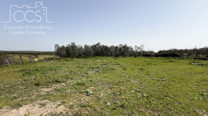 Sevilla - Pilas - 39764m2