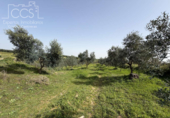 Chalet independiente con terreno en venta en la España, Pilas, ref: TR404424 foto