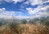 Suelo urbano en venta en la España, Muro, ref: TR130667 foto