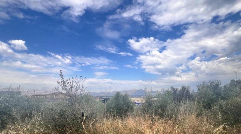Balearic Islands - Muro - 1381m2