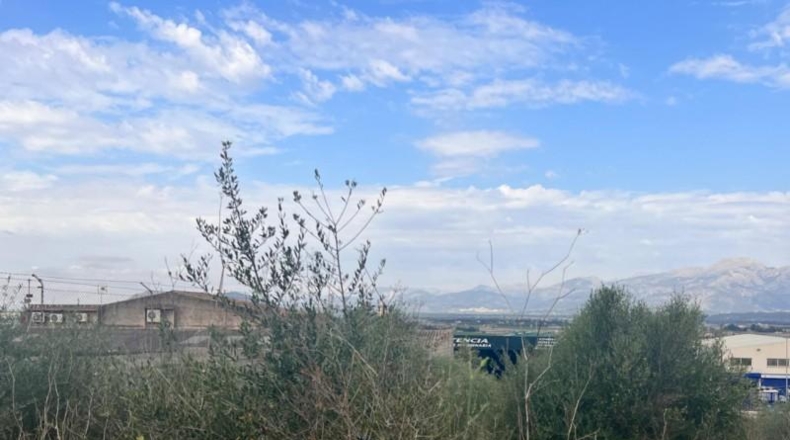 Balearic Islands - Muro - 1381m2