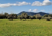 Parcela urbanizable en venta en la España, Llubí, ref: TR229460 foto