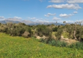 Parcela urbanizable en venta en la España, Llubí, ref: TR229460 foto