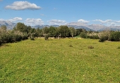 Parcela urbanizable en venta en la España, Llubí, ref: TR229460 foto
