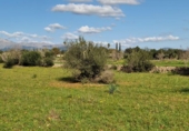 Parcela urbanizable en venta en la España, Llubí, ref: TR229460 foto