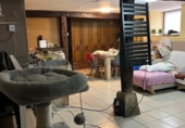 Отдельно стоящий дом с участком на продажу в городе Entrambasaguas Фото