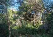 Suelo urbano en venta en la España, Capdepera, ref: TR371244 foto