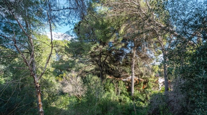 Balearic Islands - Capdepera - 975m2