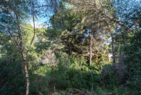 Capdepera 975&nbsp;m²