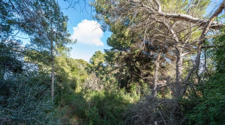 Balearic Islands - Capdepera - 975m2