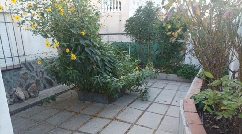 Toledo - Santa Olalla - 500m2