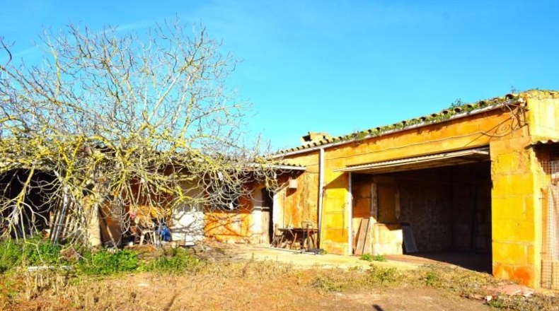 Islas Baleares - Muro - 14196m2