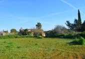 Terreno no urbanizable en venta en la España, Muro, ref: TR374641 foto