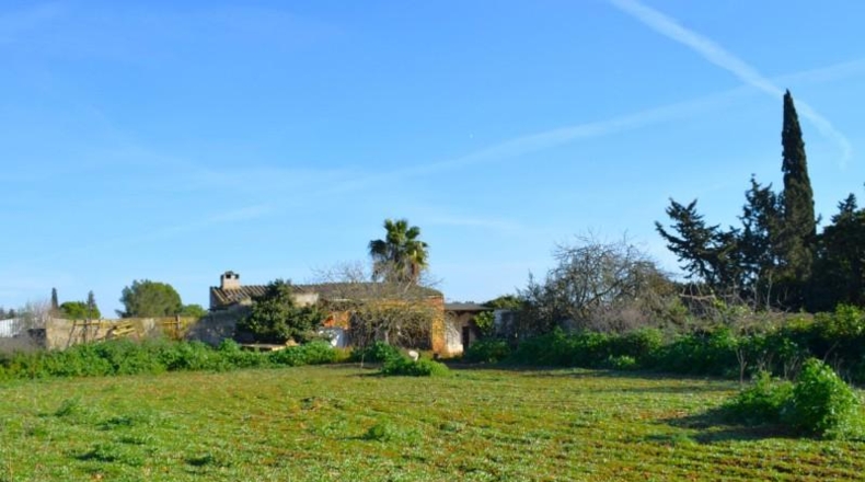Islas Baleares - Muro - 14196m2