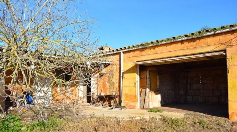 Islas Baleares - Muro - 14196m2