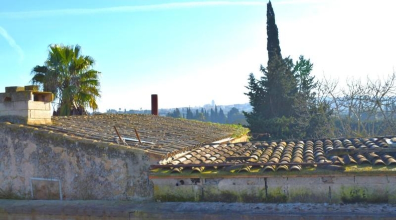 Islas Baleares - Muro - 14196m2