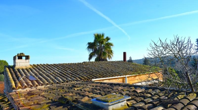 Islas Baleares - Muro - 14196m2