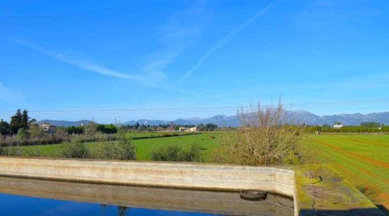 Islas Baleares - Muro - 14196m2