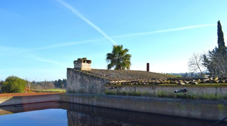 Islas Baleares - Muro - 14196m2