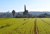 Terreno no urbanizable en venta en la España, Muro, ref: TR374641 foto