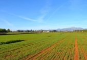 Terreno no urbanizable en venta en la España, Muro, ref: TR374641 foto