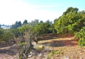 Terreno no urbanizable en venta en la España, Muro, ref: TR374641 foto