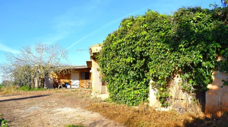 Islas Baleares - Muro - 14196m2
