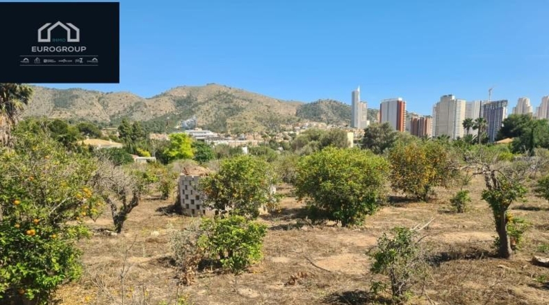 Alicante - Benidorm - 4000m2