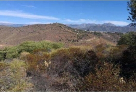 Torrox 24763&nbsp;m²