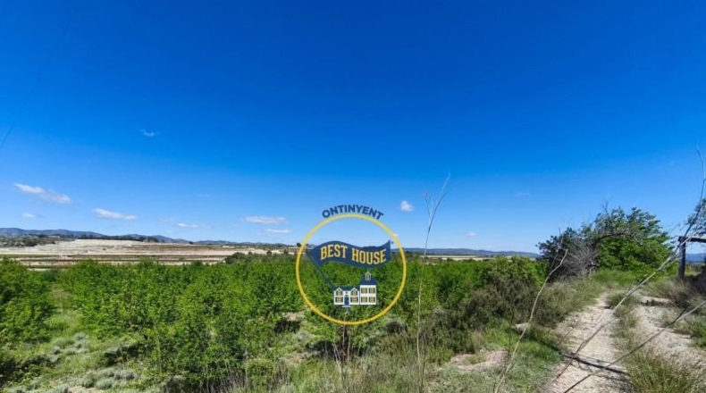 Valencia - Albaida - 56370m2