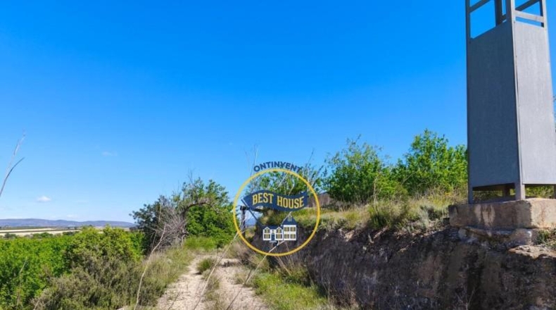 Valencia - Albaida - 56370m2