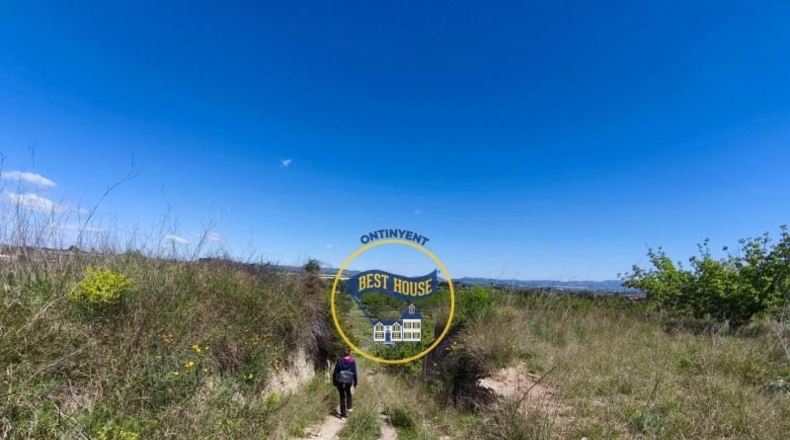 Valencia - Albaida - 56370m2