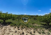 Terreno no urbanizable en venta en la España, Albaida, ref: TR408220 foto