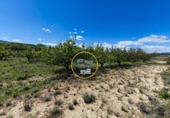 Terreno no urbanizable en venta en la España, Albaida, ref: TR408220 foto