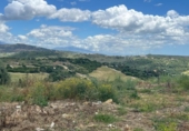 Terreny no urbanitzable en venda a la España, Estepona, ref.: TR242229 foto
