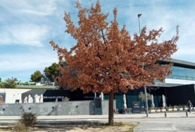 Foto 12