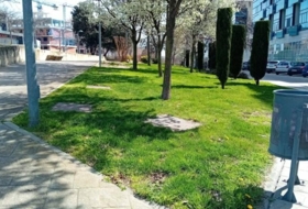 Foto 14