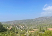 Chalet independiente con terreno en venta en la España, Olivella, ref: TR223127 foto