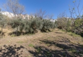 Chalet independiente con terreno en venta en la España, Cádiar, ref: TR401704 foto