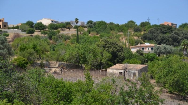 Islas Baleares - Campanet - 14260m2
