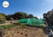 Suelo urbano en venta en la España, Arenys de Mar, ref: TR115608 foto