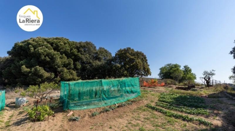 Barcelona - Arenys de Mar - 633m2