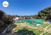 Suelo urbano en venta en la España, Arenys de Mar, ref: TR115608 foto