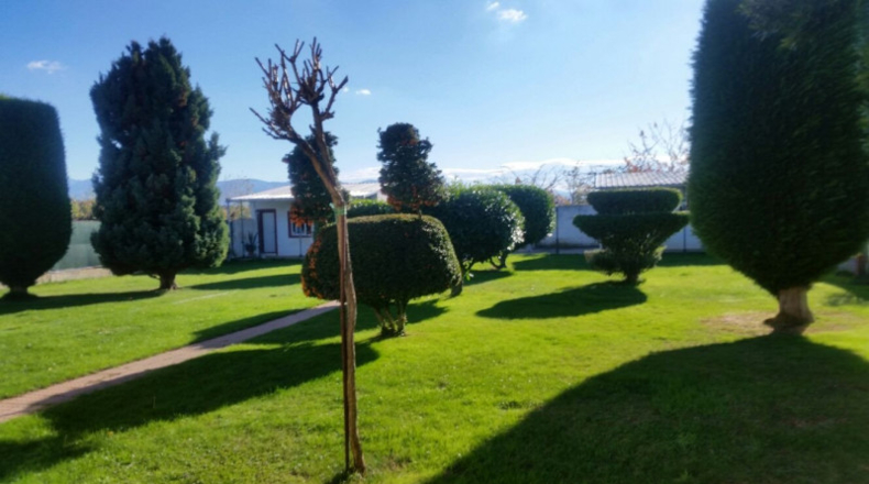 León - Cabañas Raras - 1700m2