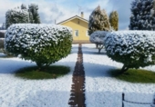 Загородный дом с участком на продажу в городе Cabañas Raras Фото